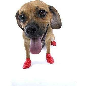 Pawz Dog Boots - Image 7