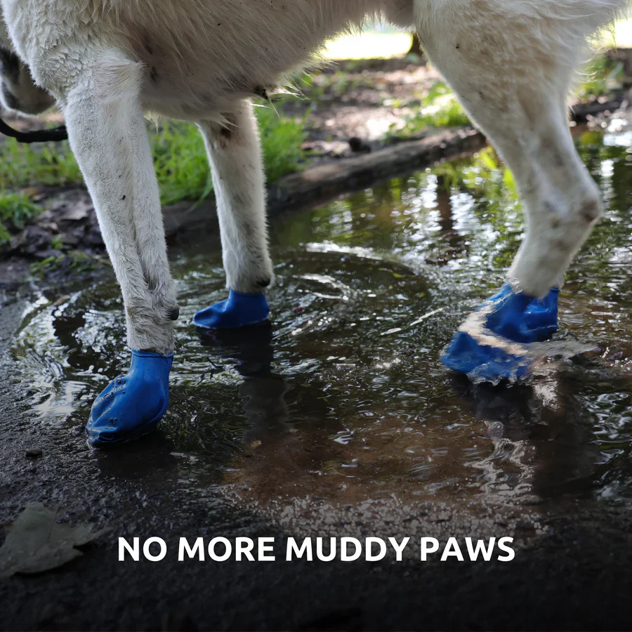 Pawz Dog Boots Black 12 Pack - Image 3