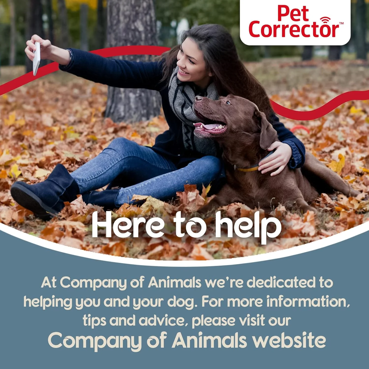 Pet Corrector Compressed Air Dog Trainer - Image 5