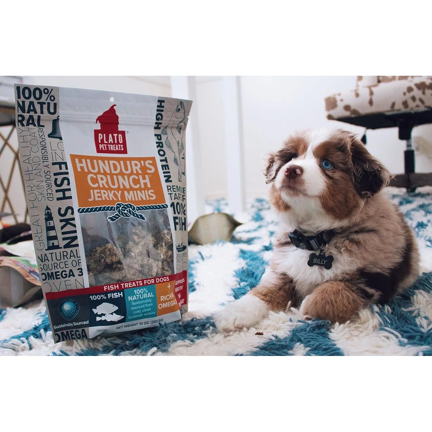 Plato Pet Hundur'S Crunch Jerky Minis Fish Skin - Image 2