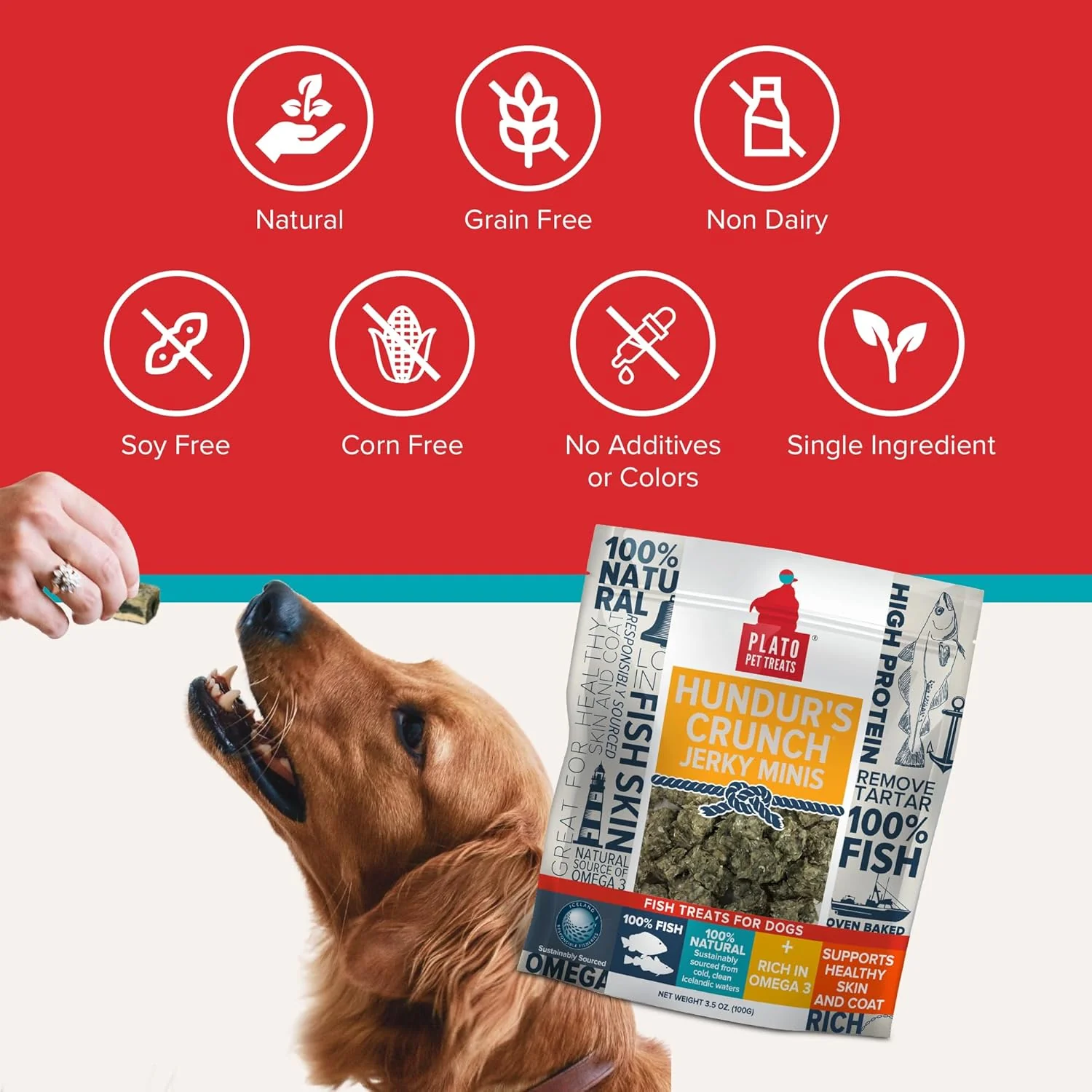 Plato Pet Hundur'S Crunch Jerky Minis Fish Skin - Image 7