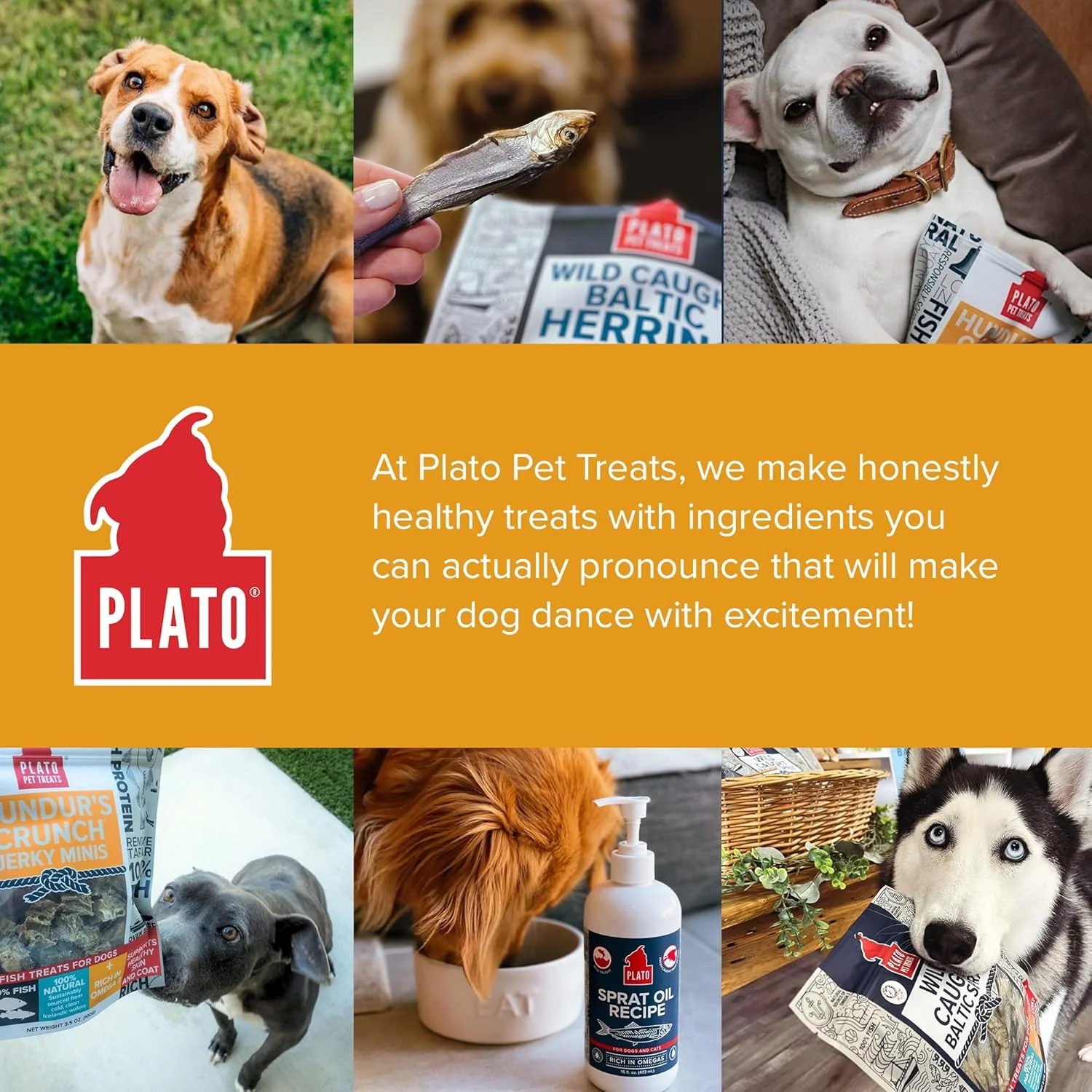 Plato Pet Hundur'S Crunch Jerky Minis Fish Skin - Image 8