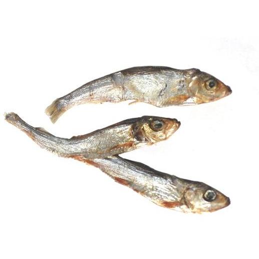 Plato Pet Treats Wild Caught Baltic Sprat Fish Dog Treats - Image 3