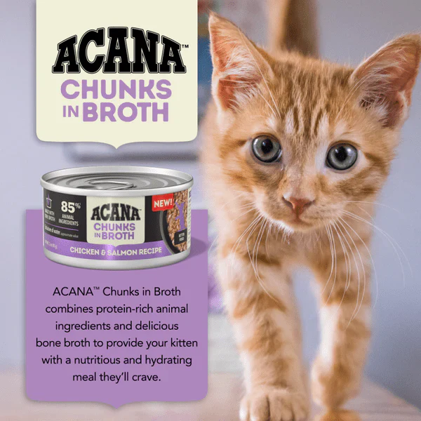 Acana Wet Cat Food Chicken + Salmon Recipe In Bone Broth For Kittens - Image 3