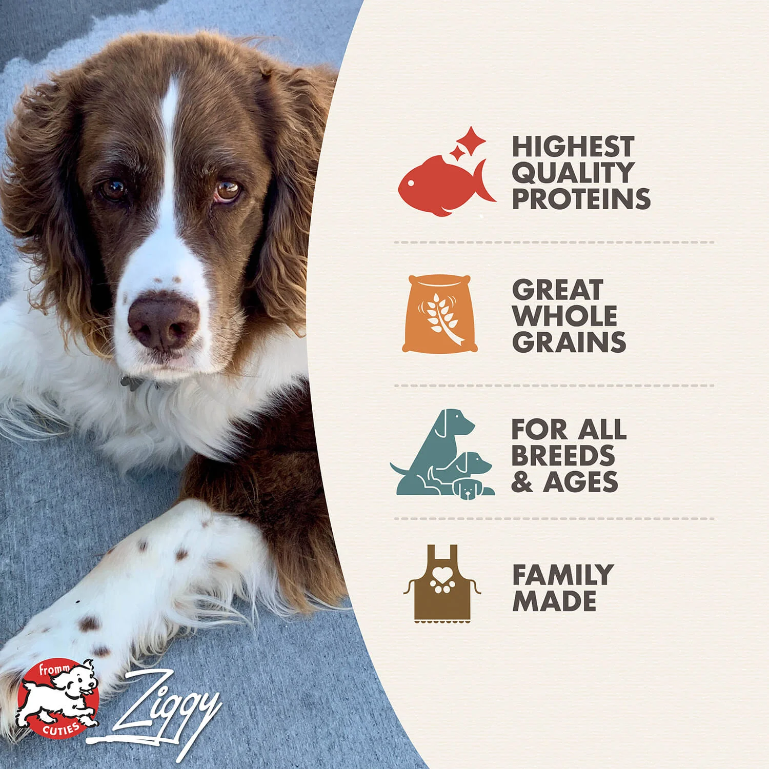 Fromm Four Star Trout And Whitefish Dog Food - Image 2