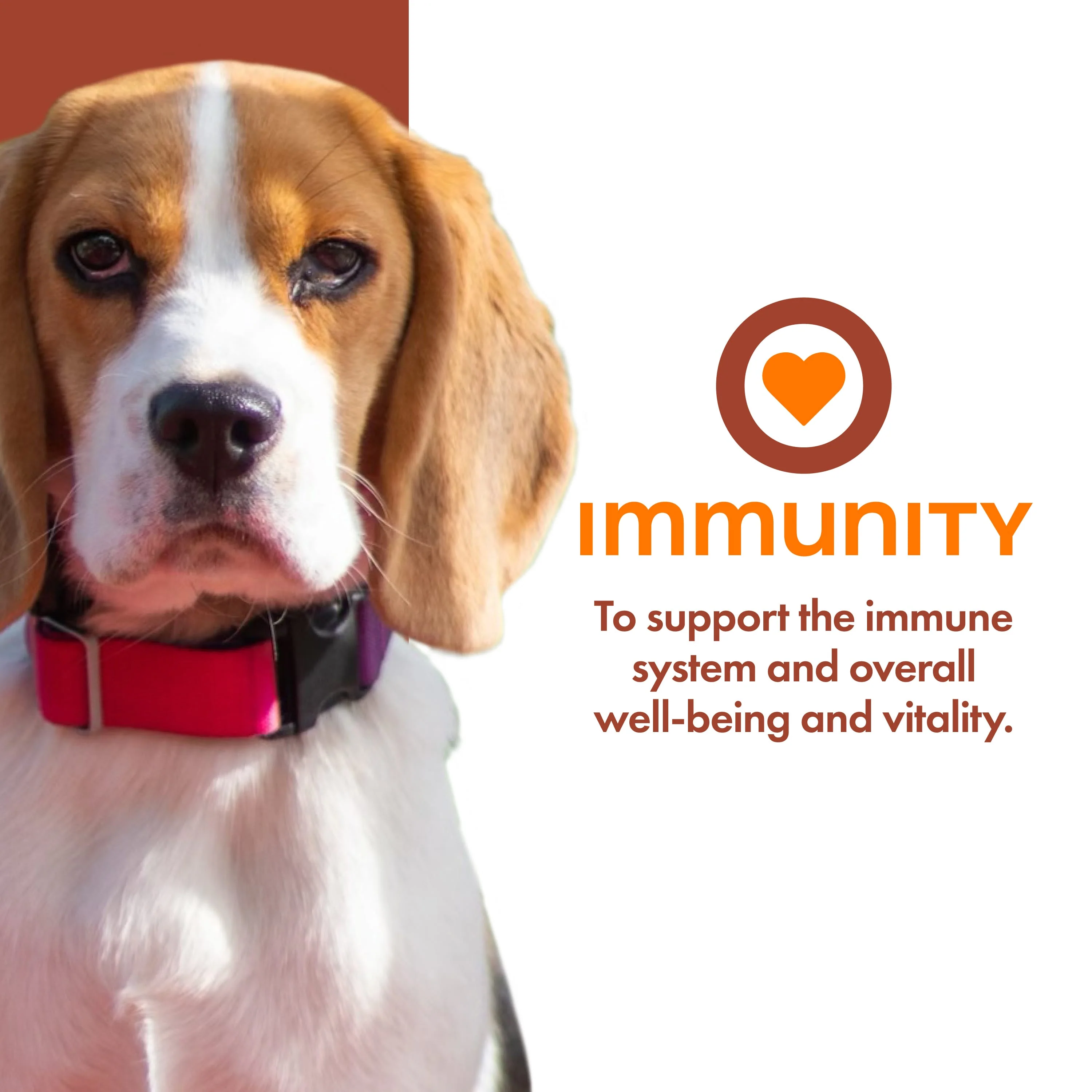 Fromm Nutritionals Immunity Dog Supplement - Image 2