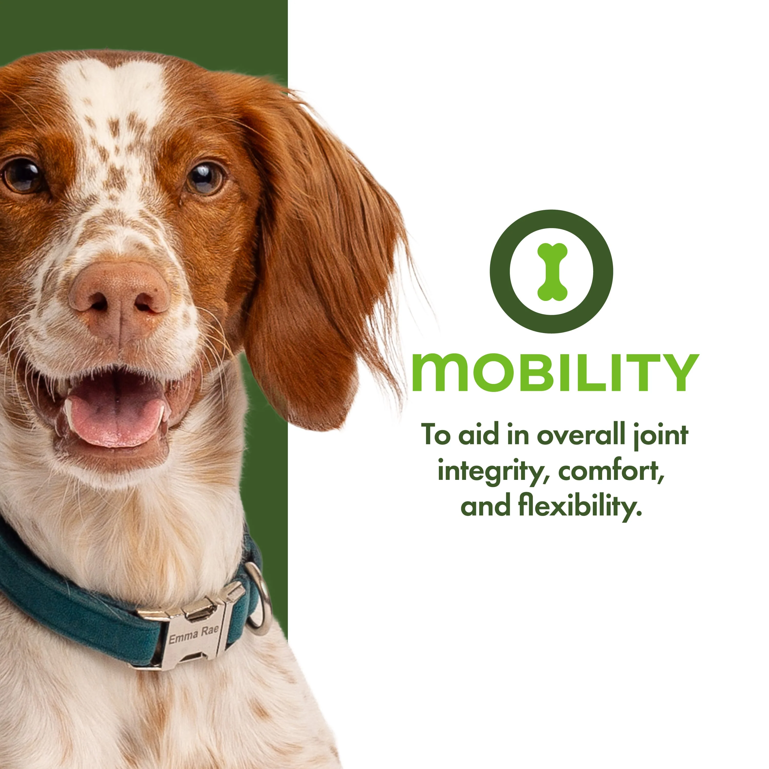 Fromm Nutritionals Mobility Dog Supplement - Image 2