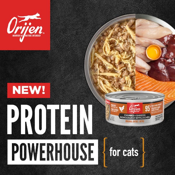 Orijen Chicken & Tuna Chunks Entrée Canned Kitten Food - Image 3