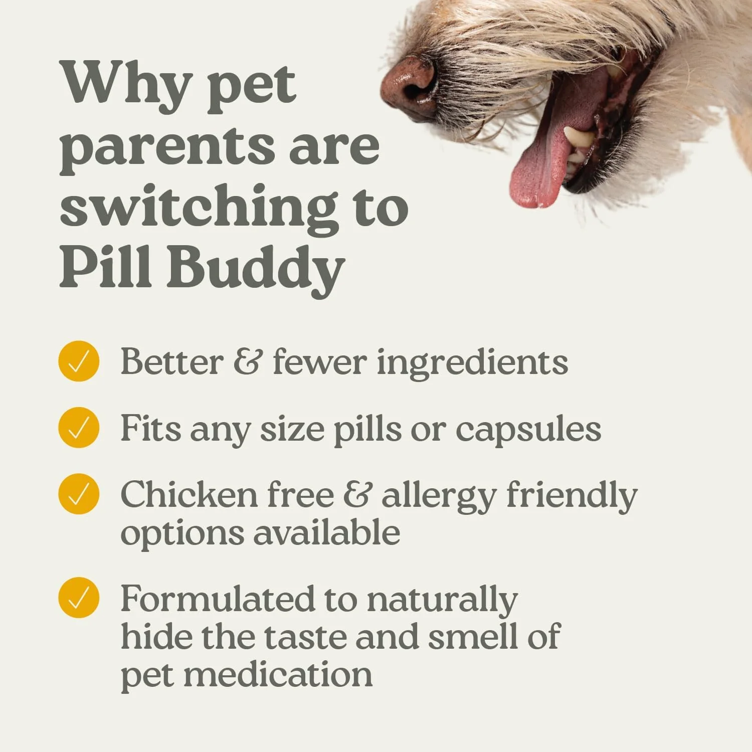 Presidio Pill Buddy Naturals Peanut Butter And Banana - Image 4