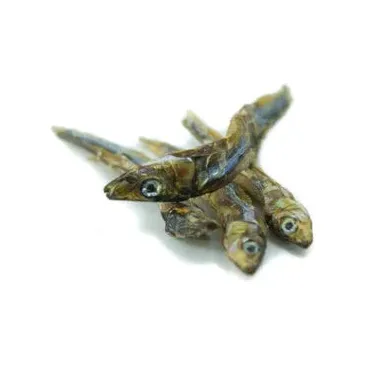 Rocky Mountain Raw Air Dried Sardines Treats - Image 2