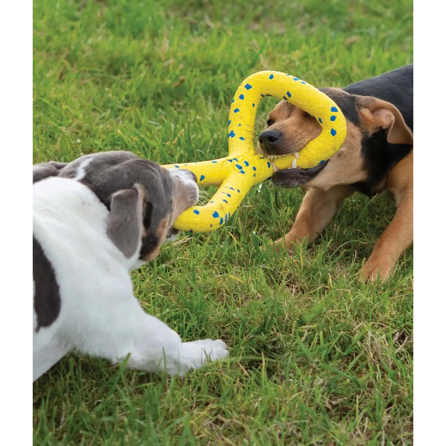 Zeus Nitro Tugger Dog Toy - Image 3