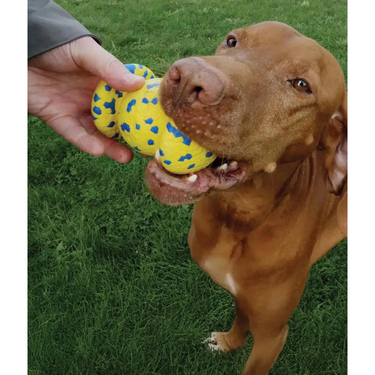 Zeus Nitro Weighted Grip Ball Dog Toy - Image 3