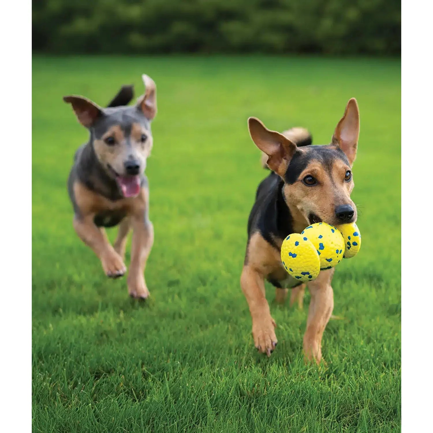 Zeus Nitro Weighted Grip Ball Dog Toy - Image 4