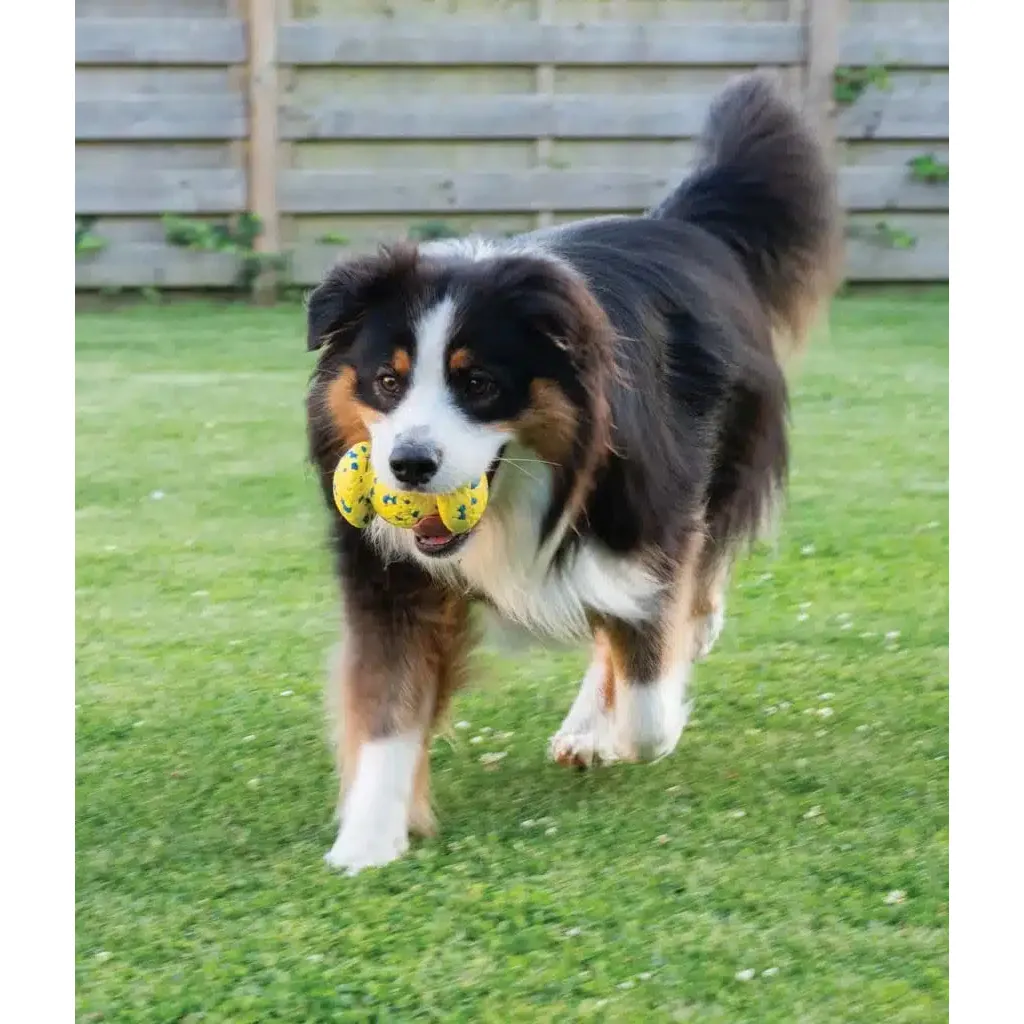 Zeus Nitro Weighted Grip Ball Dog Toy - Image 6