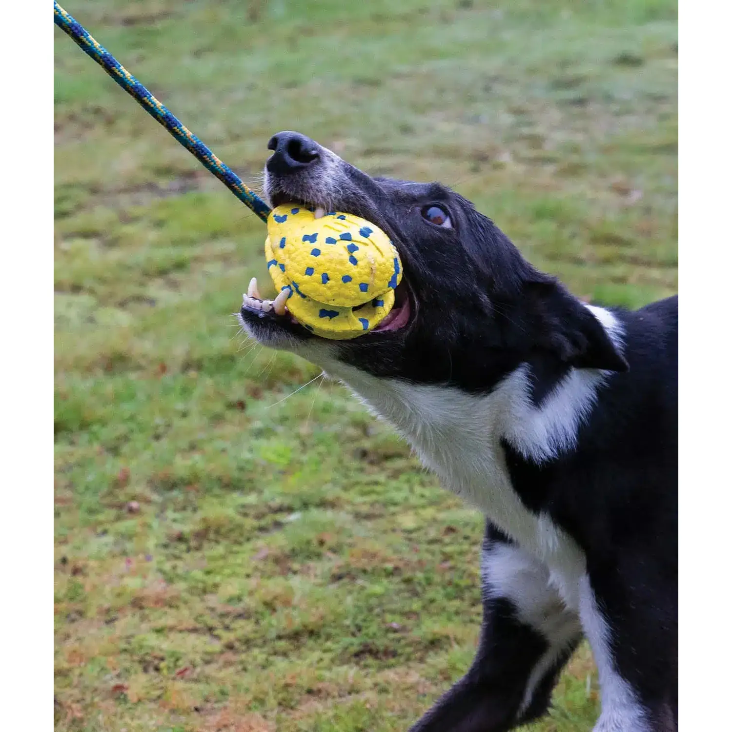 Zeus Nitro Weighted Slinger With Rope Dog Toy - Image 3
