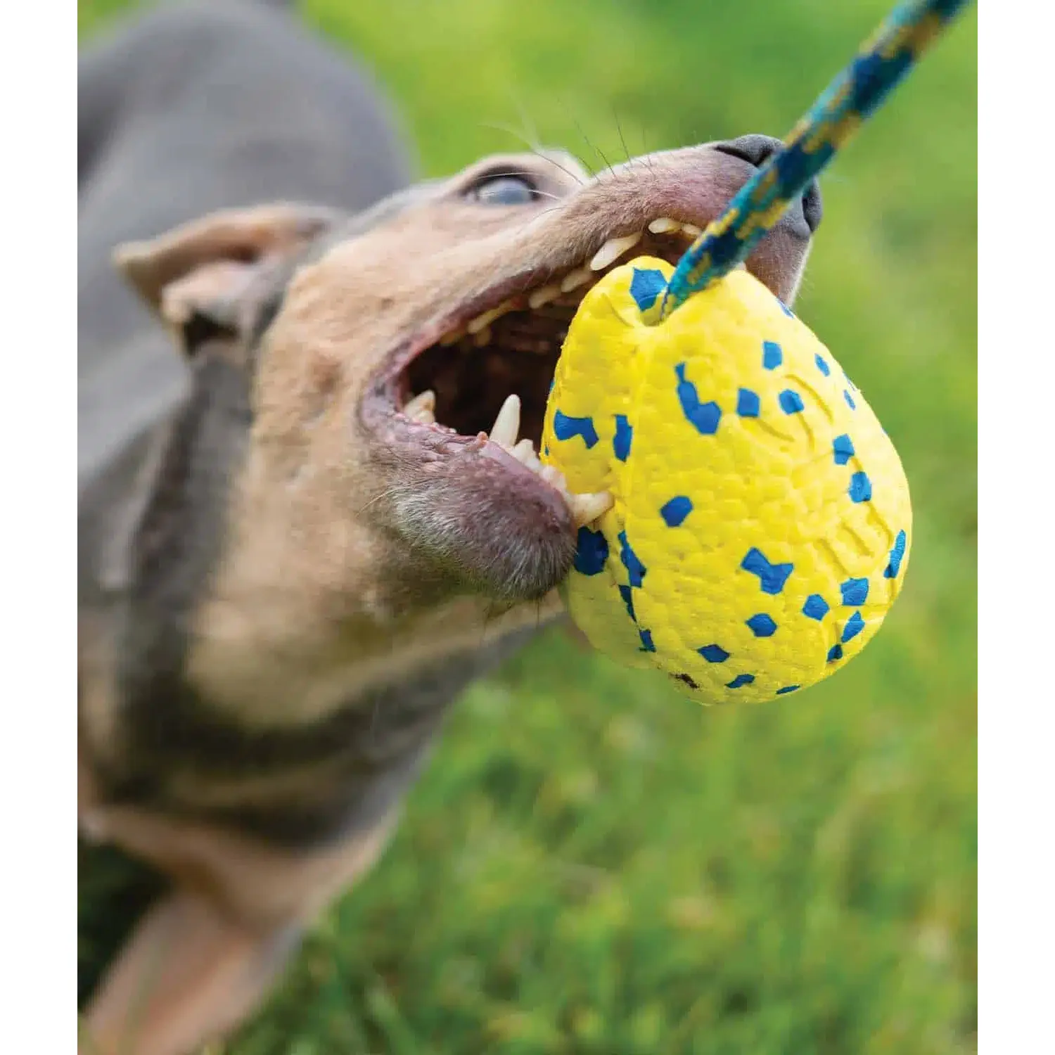 Zeus Nitro Weighted Slinger With Rope Dog Toy - Image 4