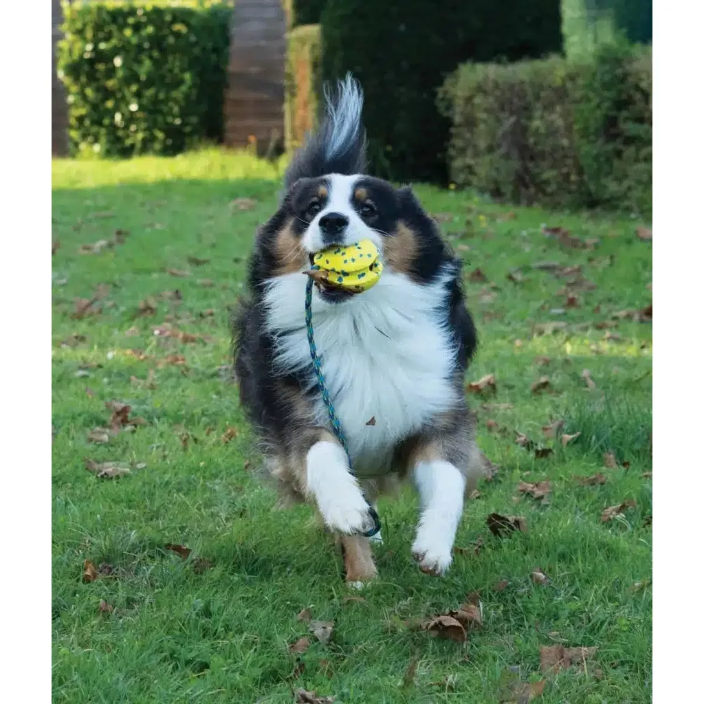 Zeus Nitro Weighted Slinger With Rope Dog Toy - Image 5