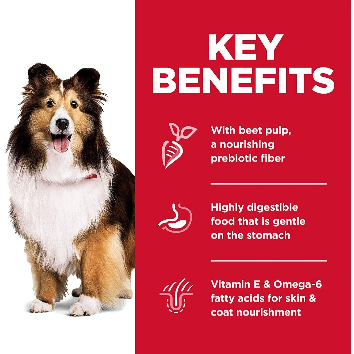 Hill's Science Diet Dry Dog Food, Adult, Sensitive Stomach & Skin Recipes - Image 5