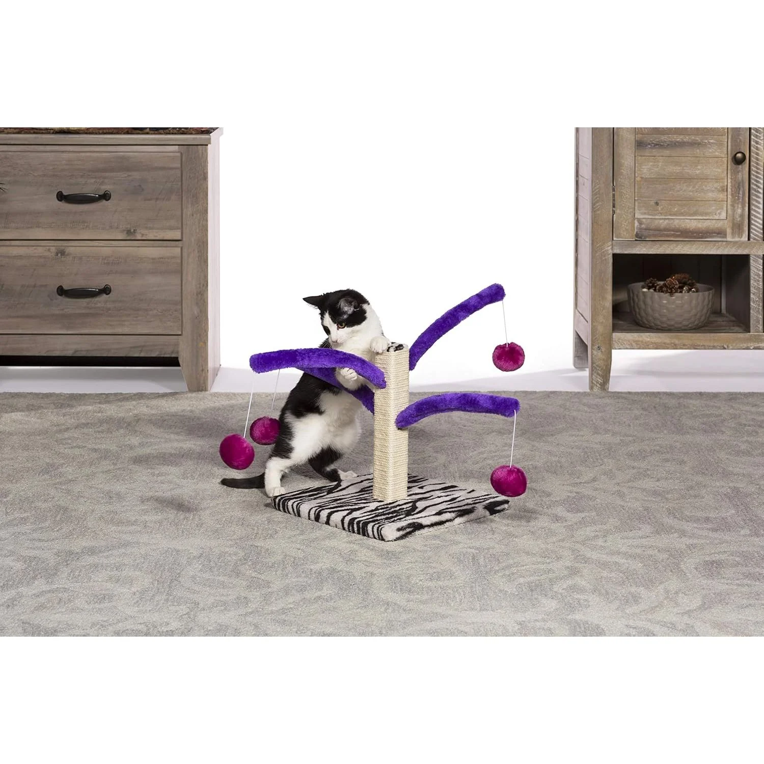 Prevue Pet Kitty Power Bounce 'n Spring Scratcher - Image 2
