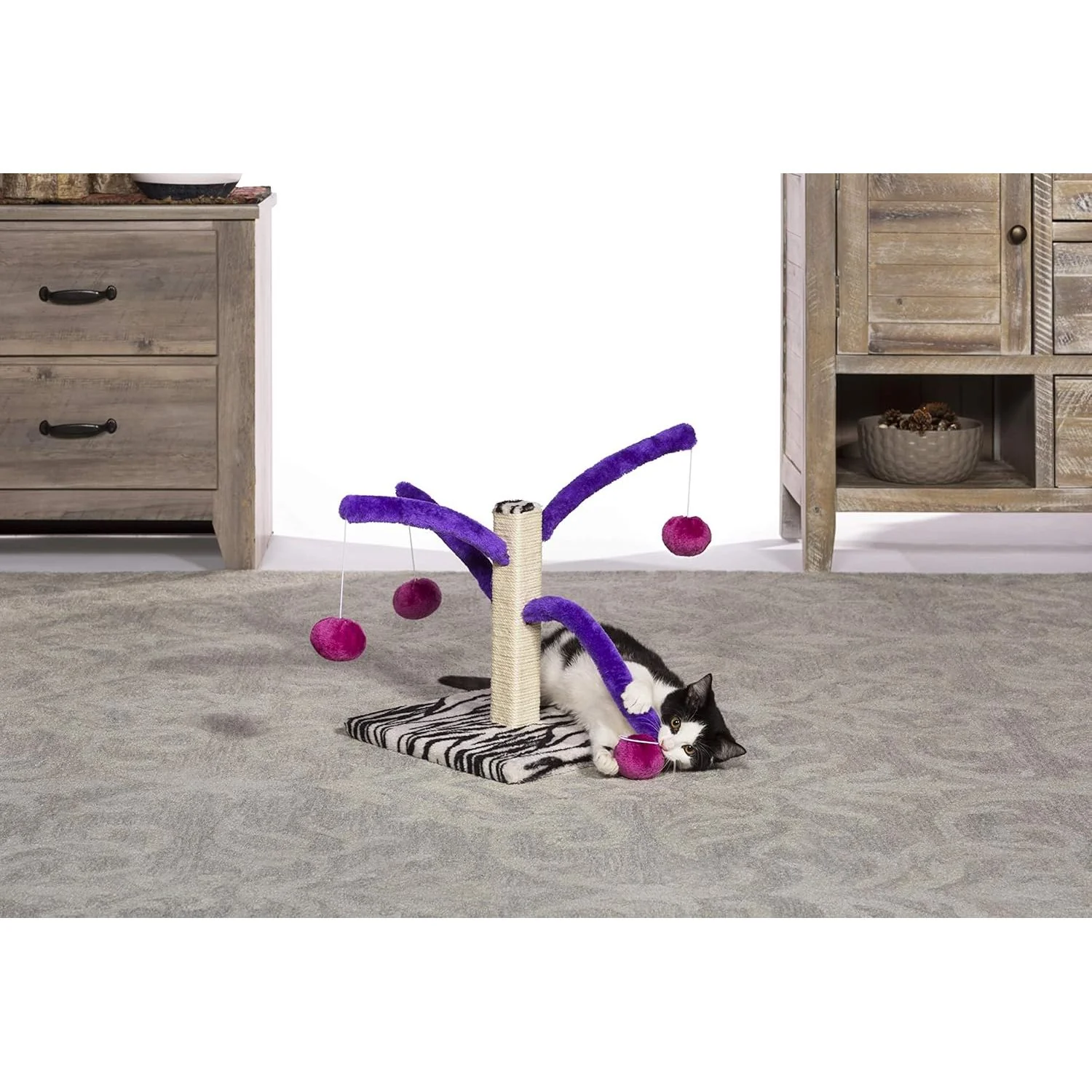 Prevue Pet Kitty Power Bounce 'n Spring Scratcher - Image 3