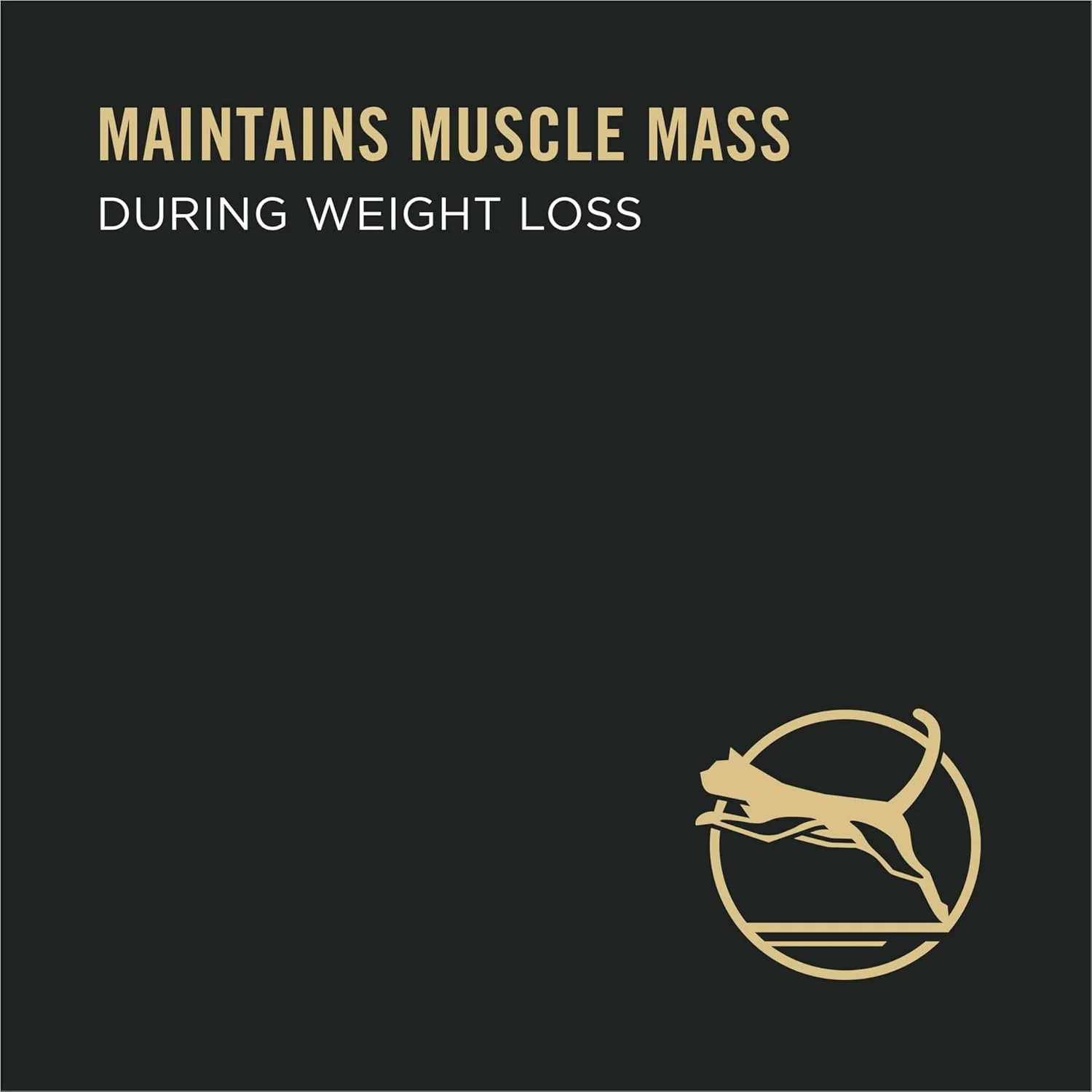 Purina Pro Plan Focus Adult Weight Management Turkey and Rice Wet Cat Food - Image 3