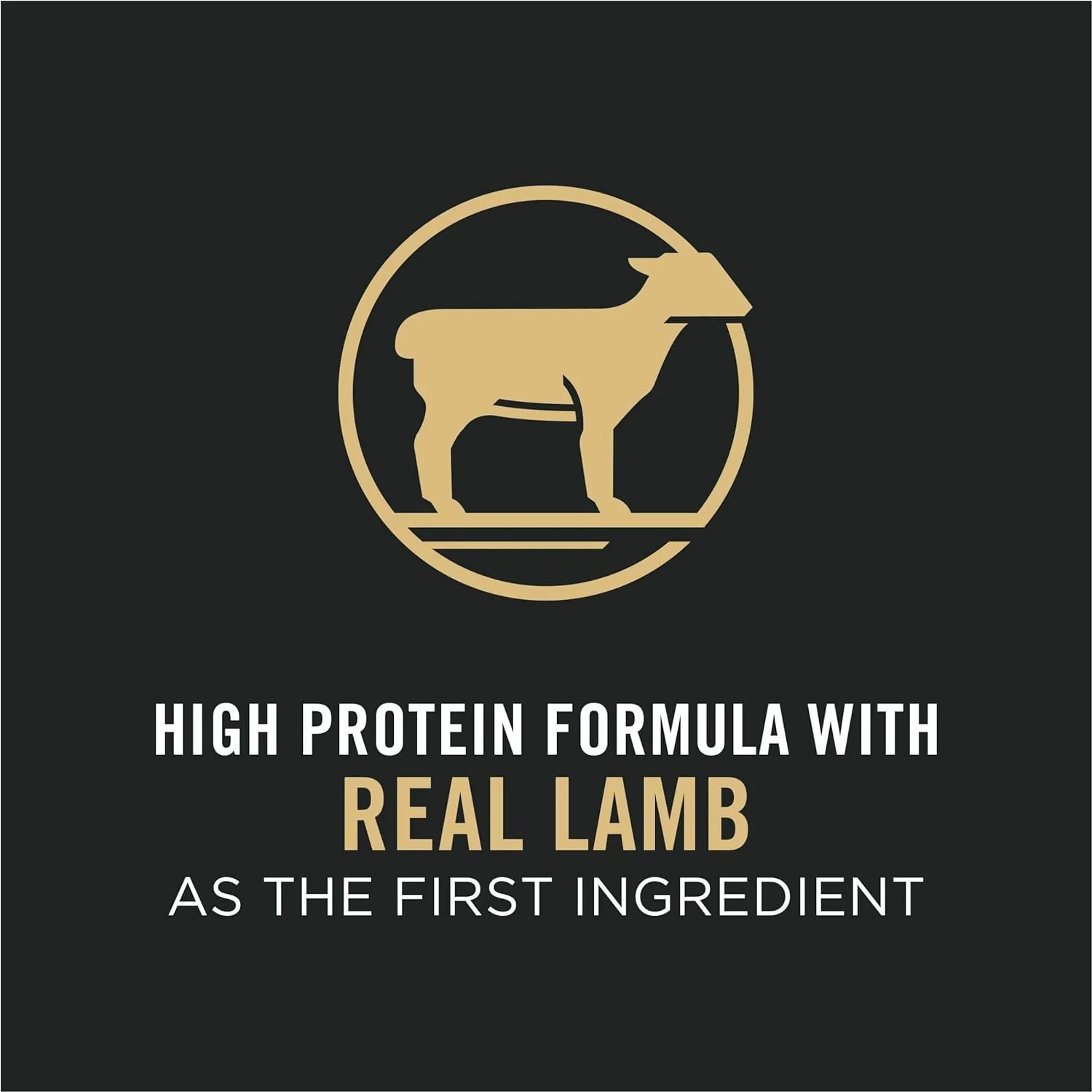 Purina Pro Plan Dog Food Adult Small Bites 27/17 Lamb & Rice - Image 2