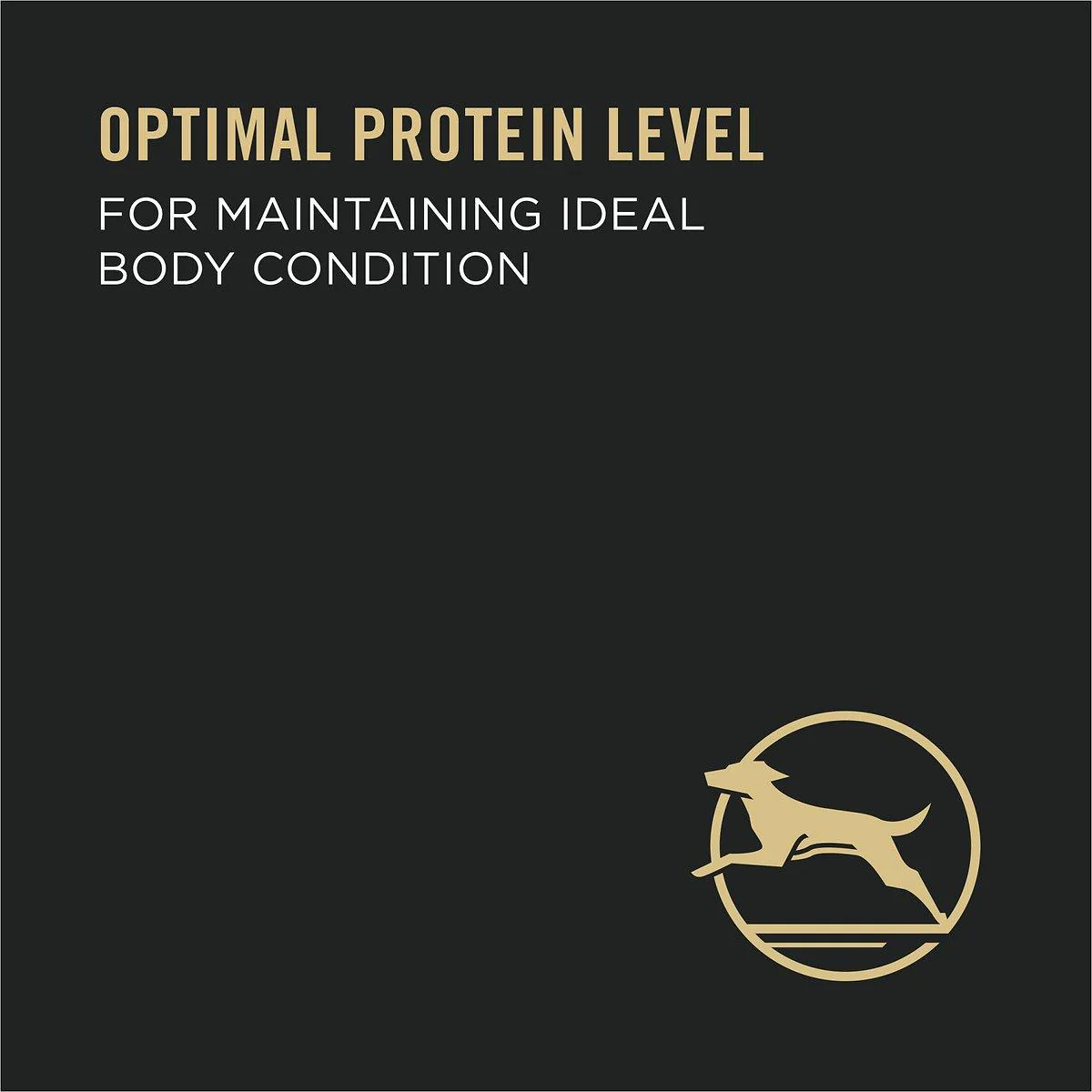 Purina Pro Plan High Protein Pate Beef & Rice Entree Wet Dog Food - Image 3