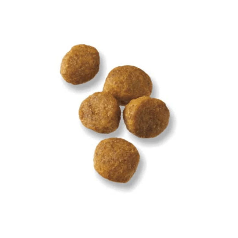 Purina Pro Plan High Protein Small Breed Puppy Food DHA Chicken & Rice Formula - Image 3