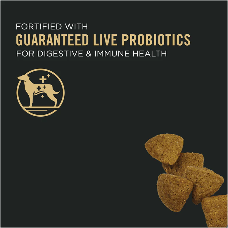Purina Pro Plan Senior Dog Food With Probiotics Bright Mind 7+ Chicken & Rice Formula - Image 10
