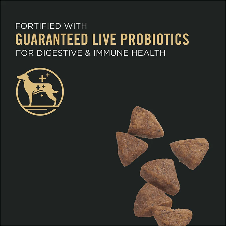 Purina Pro Plan Sensitive Skin and Stomach Dog Food With Probiotics Salmon & Rice Formula - Image 6