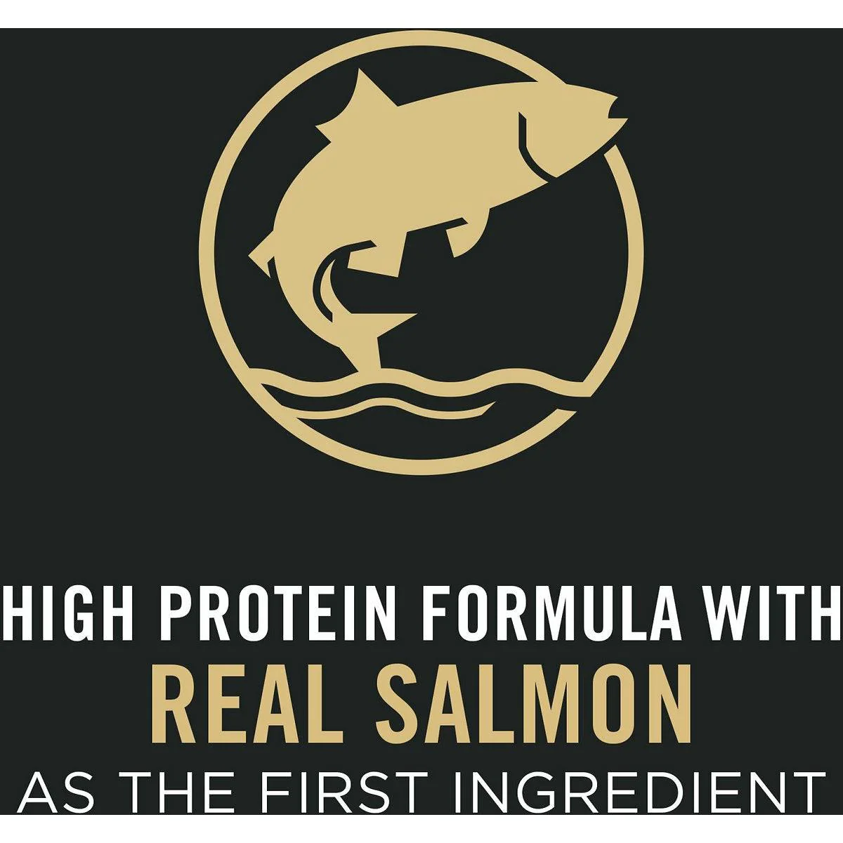 Purina Pro Plan Sensitive Skin & Stomach Salmon & Rice Formula Puppy Food - Image 3