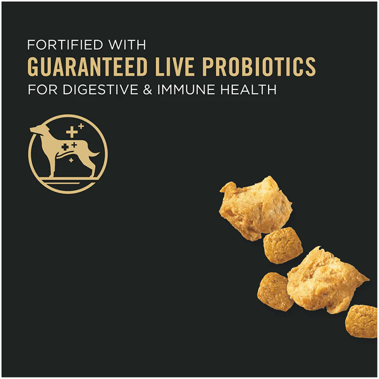 Purina Pro Plan Small Breed Dog Food With Probiotics Shredded Blend Chicken & Rice Formula - Image 7