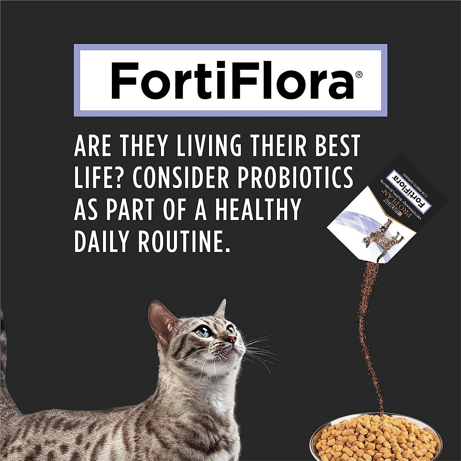 Purina Pro Plan Veterinary FortiFlora Probiotic Cat Supplement - Image 5