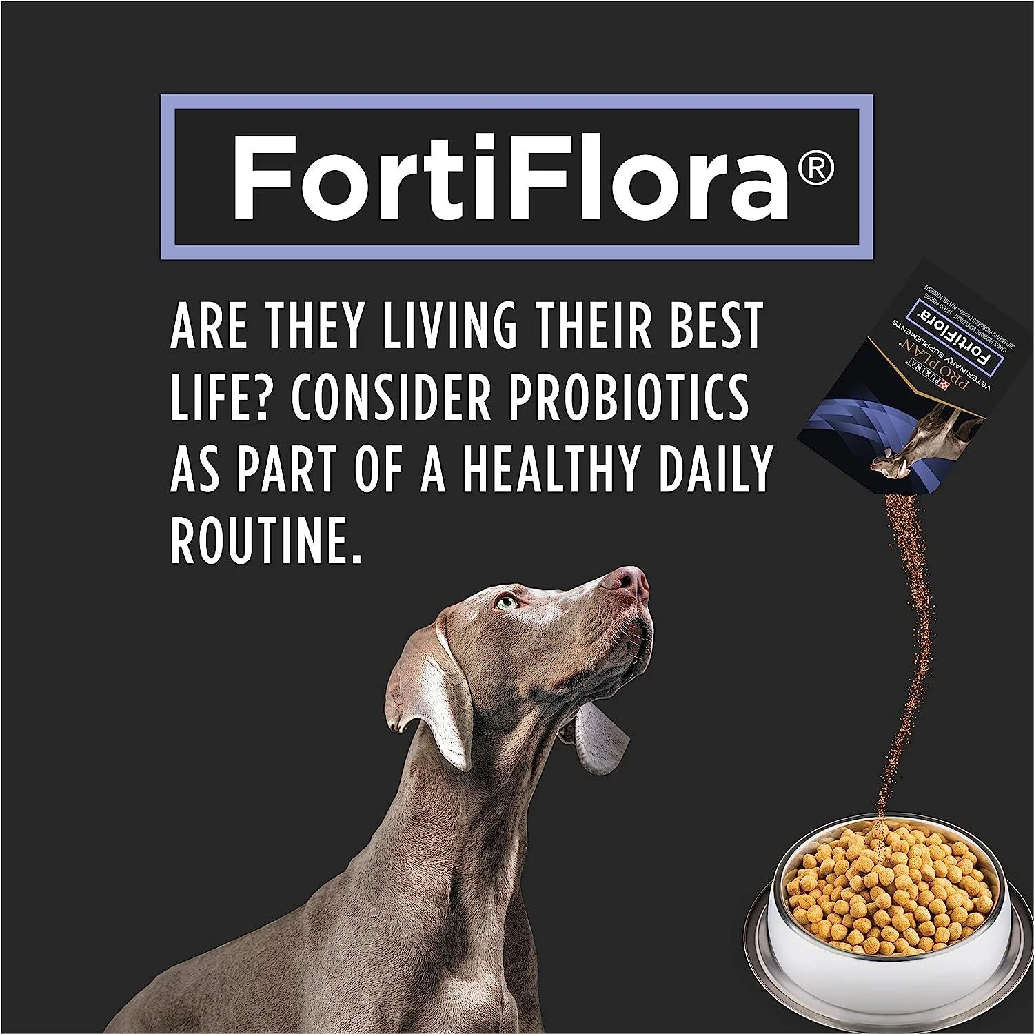 Purina Pro Plan Veterinary FortiFlora Probiotic Dog Supplement - Image 5