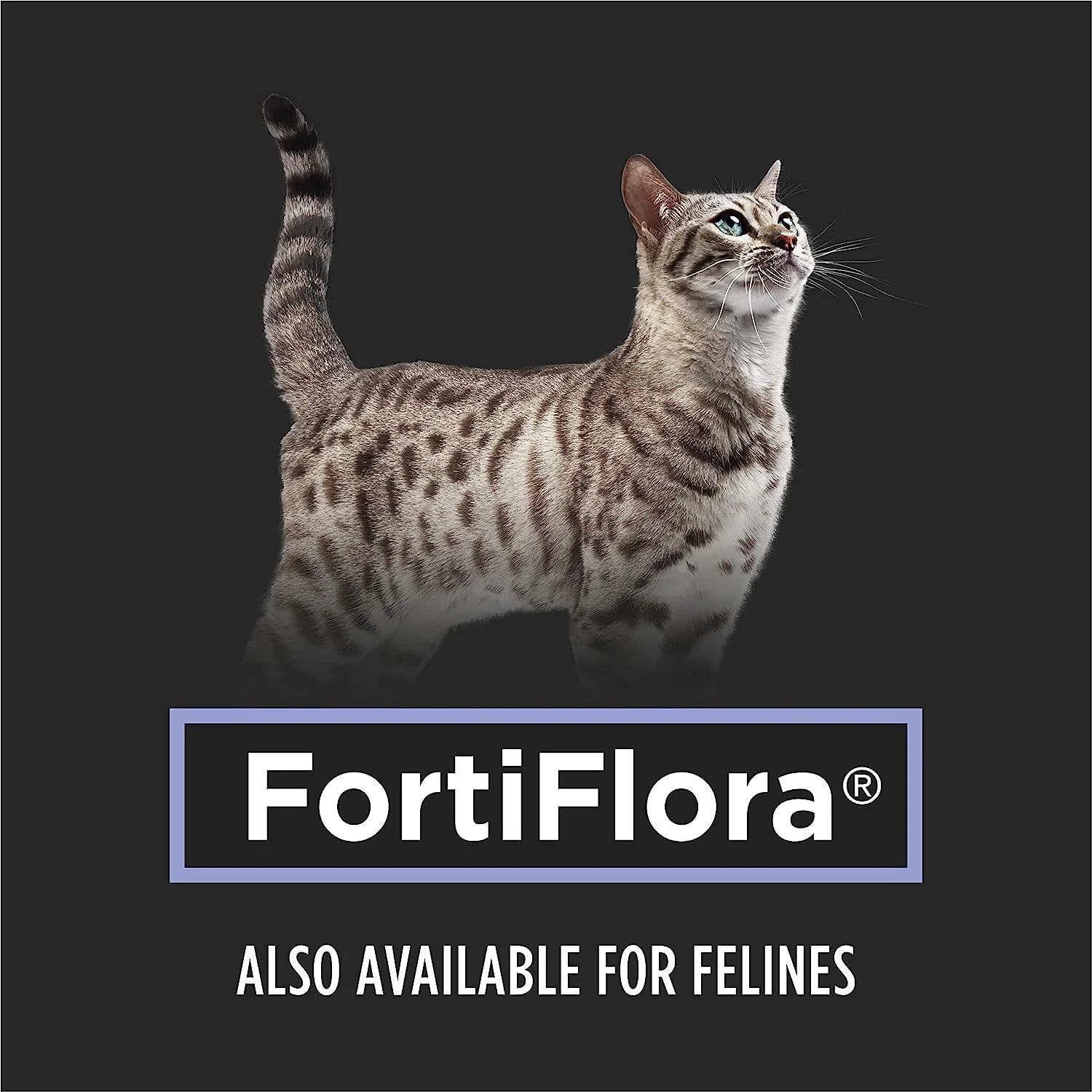 Purina Pro Plan Veterinary FortiFlora Probiotic Dog Supplement - Image 8
