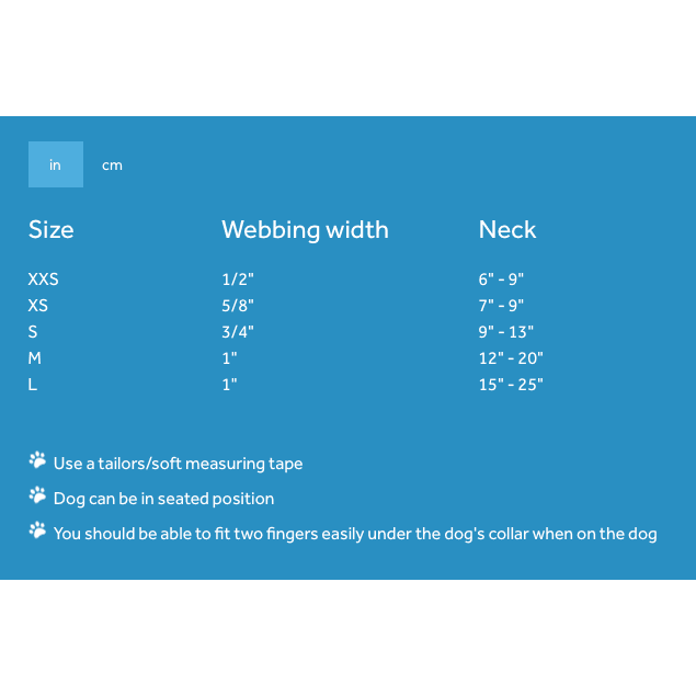 RC Adjustable Dog Clip Collar Fresh Tracks Teal - Image 2
