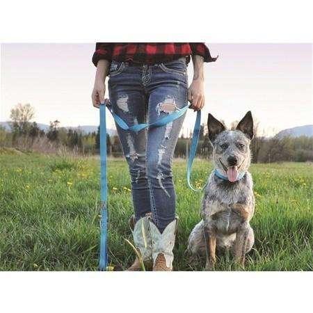 RC Adjustable Dog Collar Primary Red - Image 4