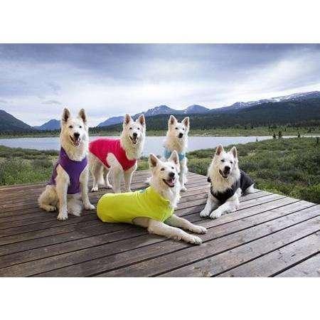 RC Baseline Dog Coat Red & Grey Fleece - Image 2