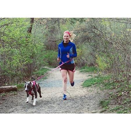 RC Dog Active Leash Black - Image 4