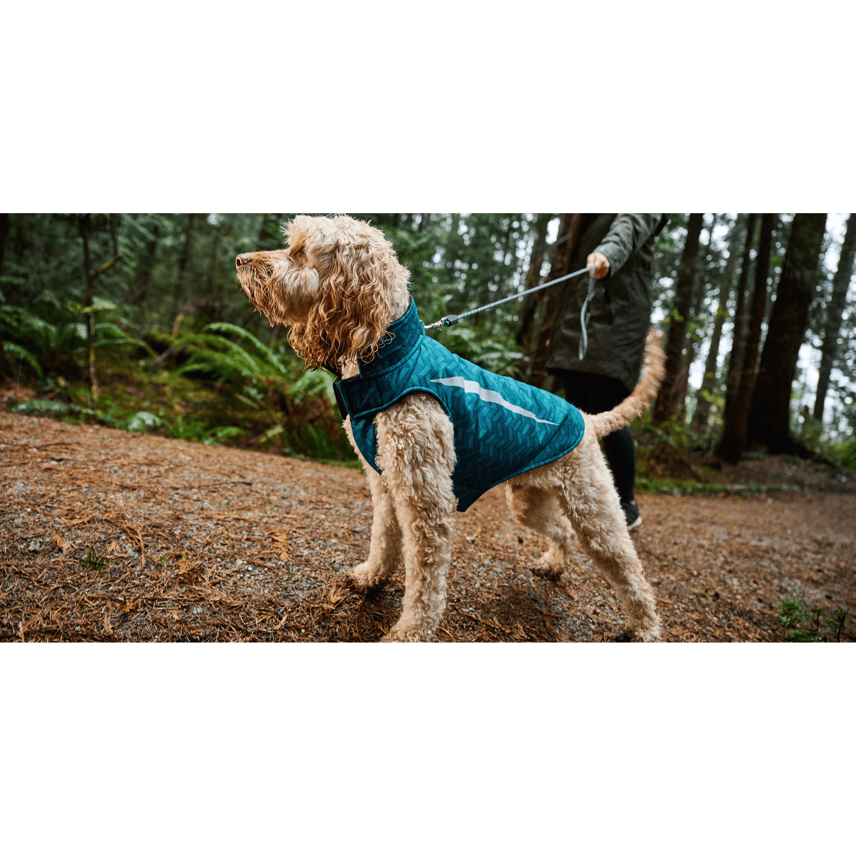 RC Dog Coat Shasta Dark Teal Chevron - Image 3