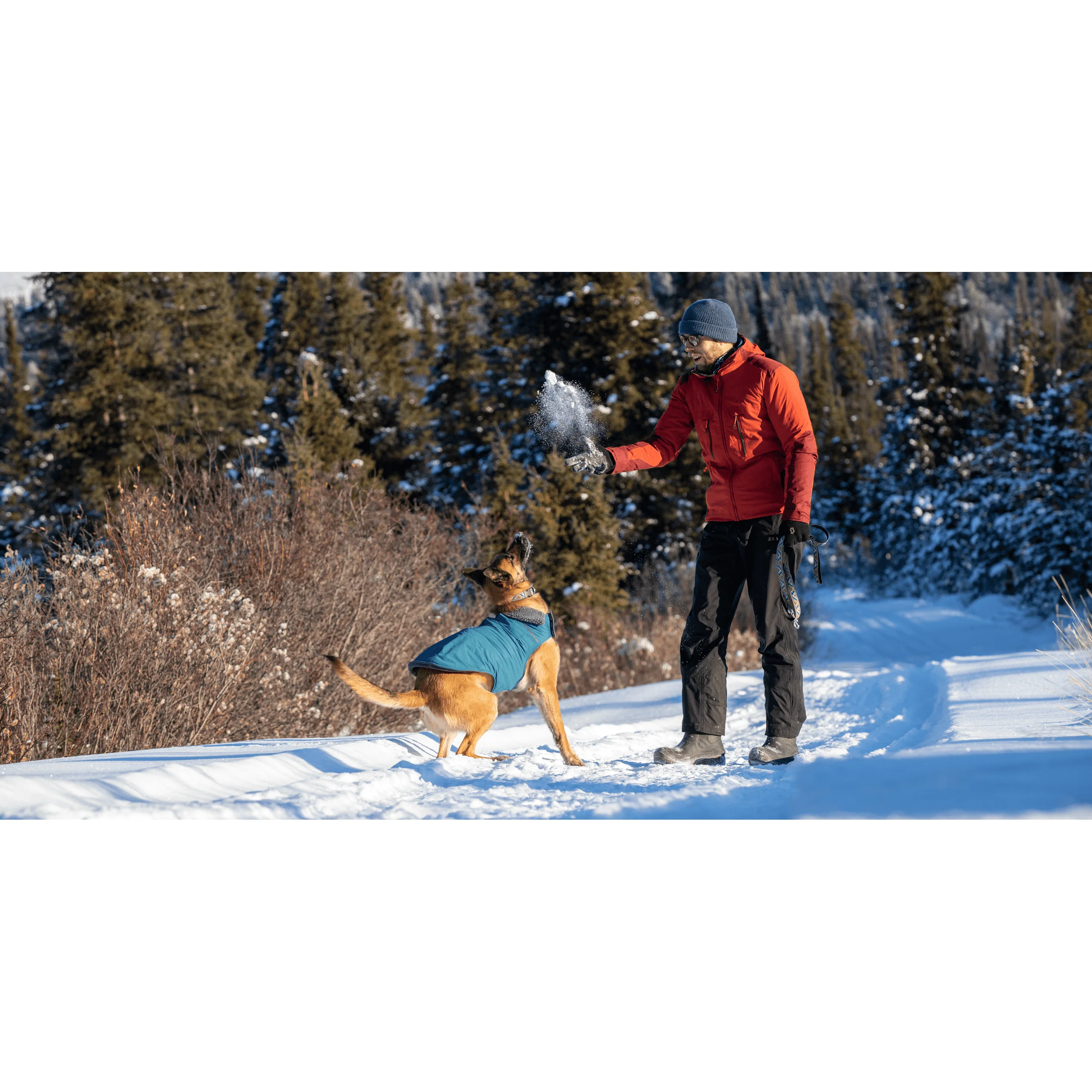RC Dog District Arctic Blue - Image 2