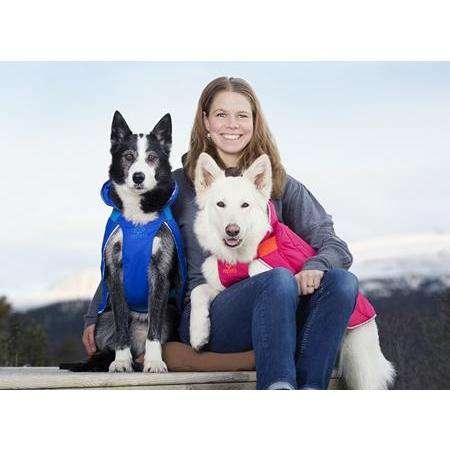 RC Dog Nimbus Puffer Royal Blue & Blue - Image 4