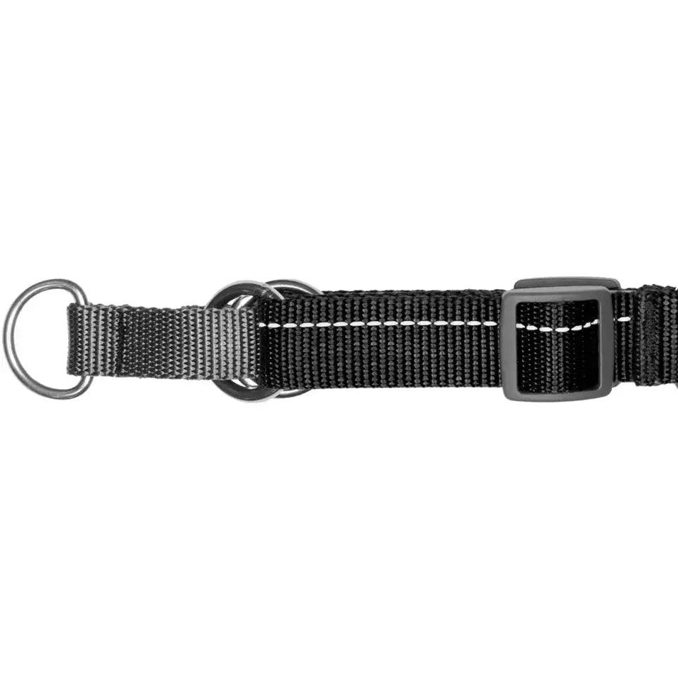 RC Dog Pace No Pull Harness Royal Blue - Image 4