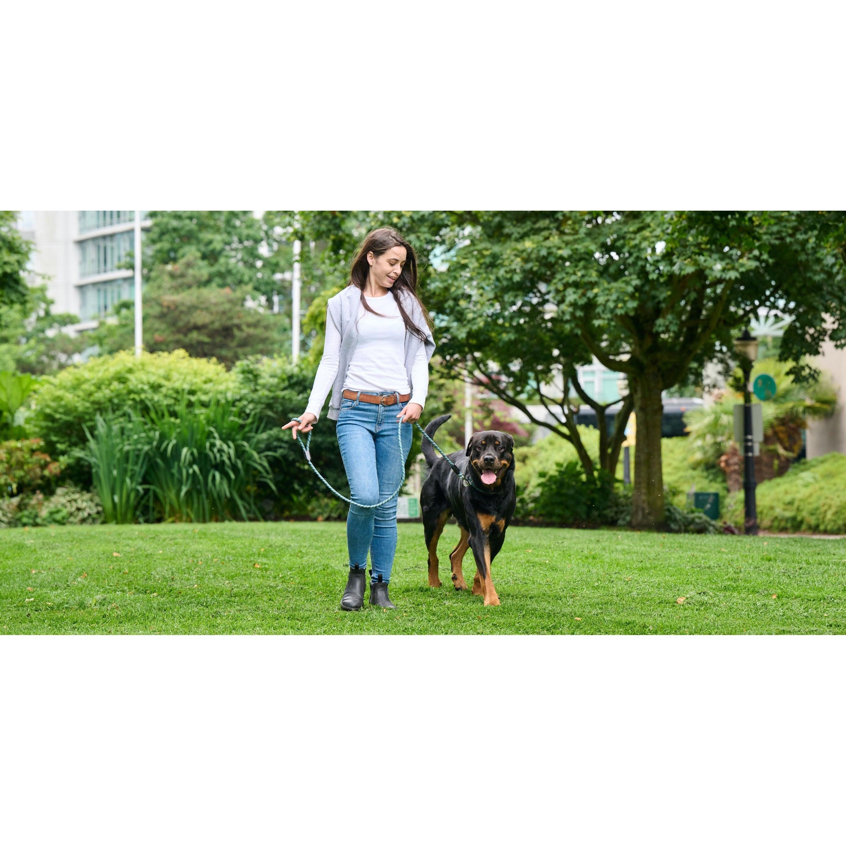RC Dog Rope Leash Dark Teal - Image 2