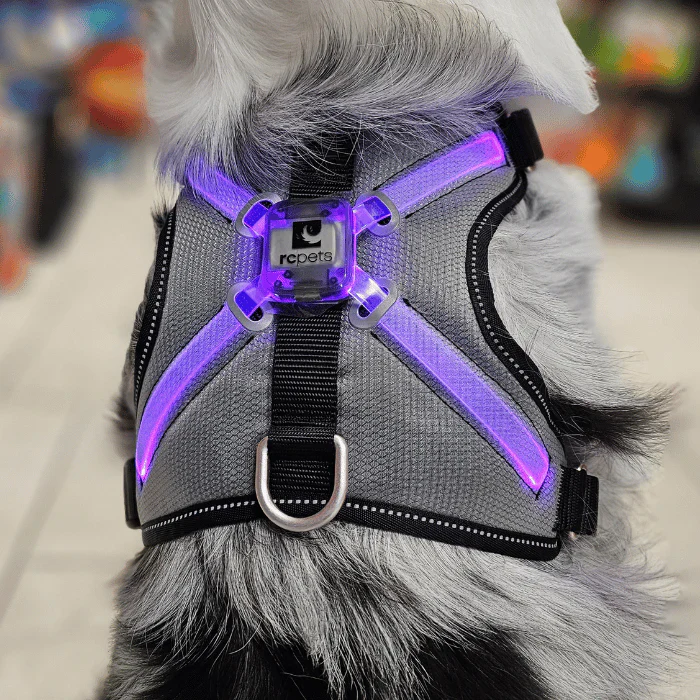 Rc Harness Nova Led Light Black/Grey - Image 6
