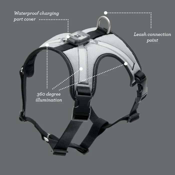 Rc Harness Nova Led Light Black/Grey - Image 7