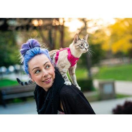 RC Kitty Adventure Harness Black - Image 4