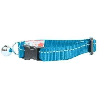 RC Kitty Break-Away Collar Primary - Image 4