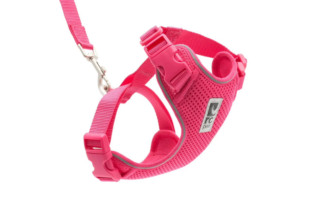 RC Pets Adventure Kitty Harness Azalea