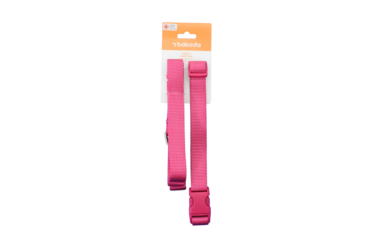 RC Pets Bakoda Collar & Leash Set Mulberry